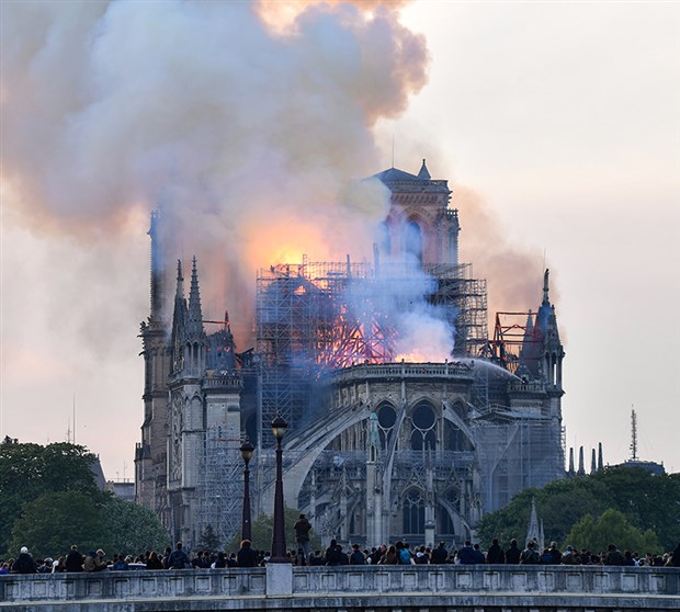 Notre Dame için 230 yıllık meşe ağaçlarını kestiler