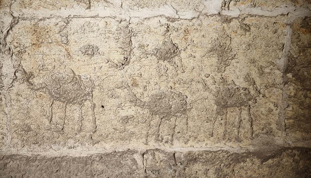 Eyyubiler Dönemi'ne ait 800 yıllık han müzeye dönüştürülecek