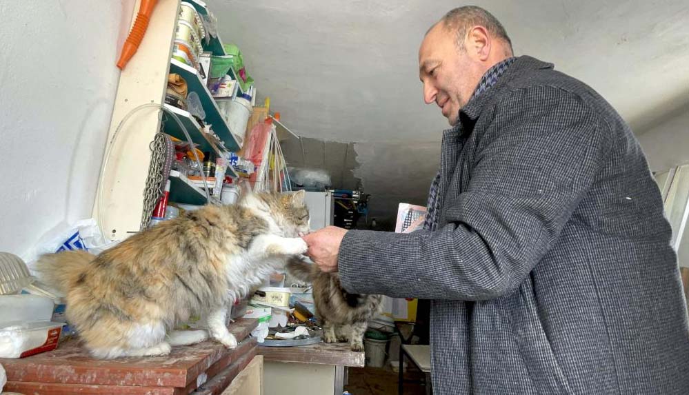 Soğuk kış günlerinde yazlık evini sokak kedilerine tahsis etti