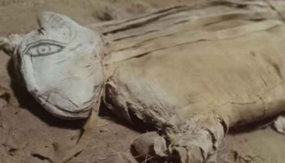 Netflix'in yeni belgeseli Mısır'da mumyalanmış "olağandışı" hayvanı gözler önüne serdi