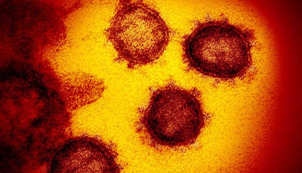 3 ülkede daha görüldü: DSÖ'den koronavirüsün yeni türüne karşı çağrı