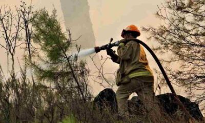 Muğla’da bu sene 813 hektar orman yandı