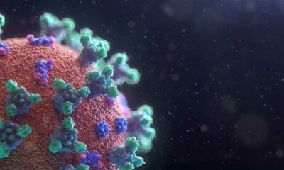 Araştırma: Covid-19 virüsü beyne girebiliyor