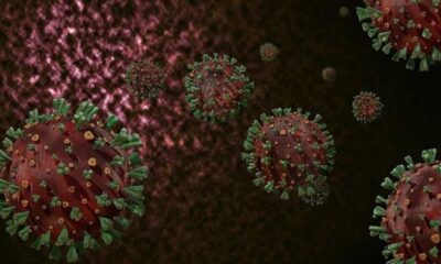 Covid-19, HIV hastası kadında 32 kez mutasyona uğradı