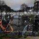 Hollanda'da sokak kısıtlaması 15 Mart'a uzatıldı