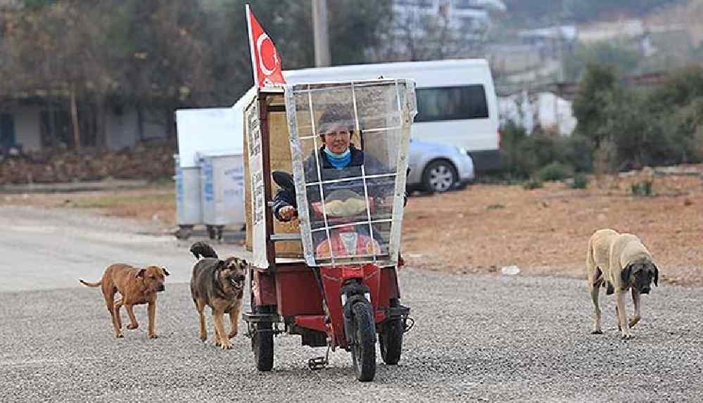 Üç tekerlekli bisikletiyle sokak hayvanlarının karnını doyuruyor