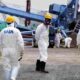 Nükleer felaketin 10. yılında Fukuşima'da kirlilik devam ediyor