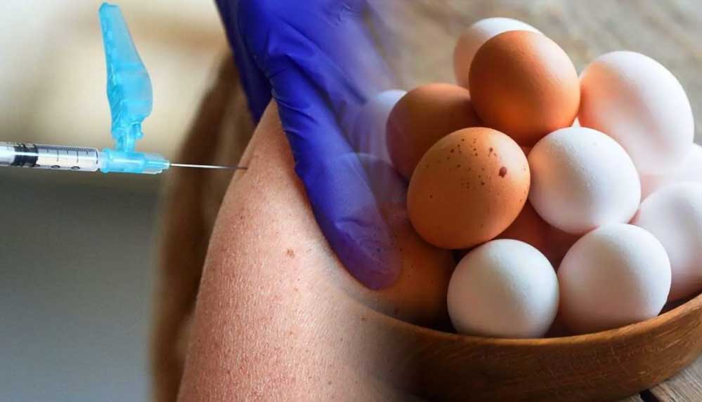 Rusya’da sıra dışı yöntem! Aşı yaptırana ücretsiz yumurta