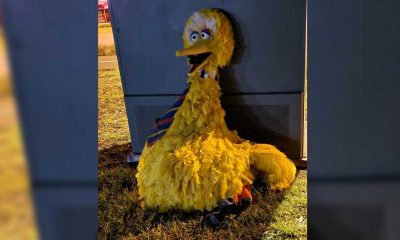 Susam Sokağı hırsızlığı: 160 bin dolarlık Minik Kuş kostümünü çalanlar yakalandı