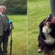 İrlanda Cumhurbaşkanı Higgins’in canlı yayında yaramaz köpeği ile zor anları