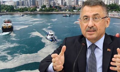 Cumhurbaşkanı Yardımcısı Fuat Oktay, müsilaj sorununu CHP'ye bağladı!