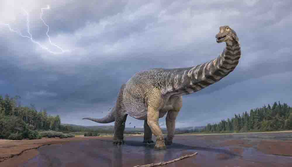 Tarihin en büyük kara memelilerine ait yeni fosiller bulundu