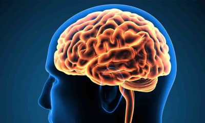 Beyin tümörlerinde psikoloji göz ardı edilmemeli!