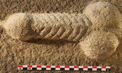 Britanya’da Roma işgali döneminden kalma 2 bin yıllık taş oyması penis heykeli bulundu