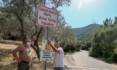 Türkiye'nin dört bir yanında ormanlara girişler yasaklanıyor