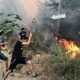 Cezayir'deki orman yangınlarında 25 asker hayatını kaybetti