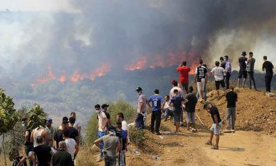 Cezayir'deki orman yangınlarında hayatını kaybedenlerin sayısı 69'a yükseldi