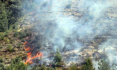 Karabük'te ormanlık alanda yangın çıktı