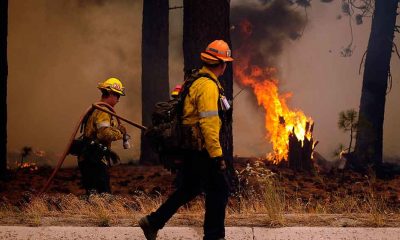 ABD'de iki haftadır devam eden 'Caldor' yangını nedeniyle acil durum ilan edildi