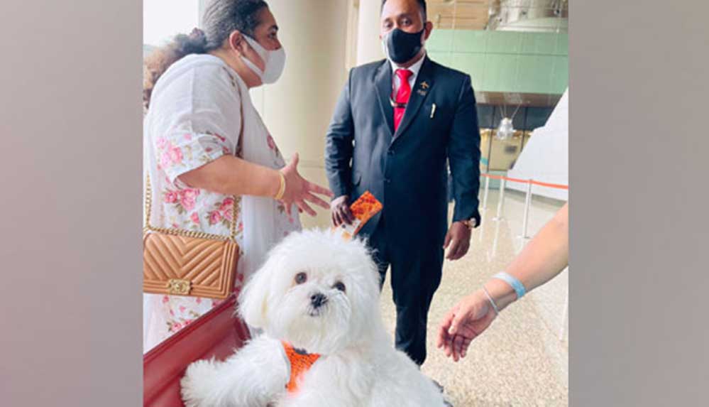 Hindistan'da kadın yolcu köpeğiyle rahat seyahat etmek için "business class"ı kapattı