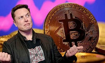 Elon Musk'tan kripto para tavsiyesi, Kripto para piyasalarında son durum! Bitcoin ne kadar oldu?