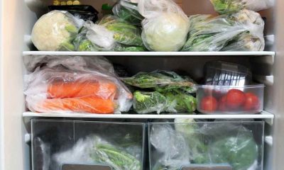 Gıdaları buzdolabında nasıl saklanır?