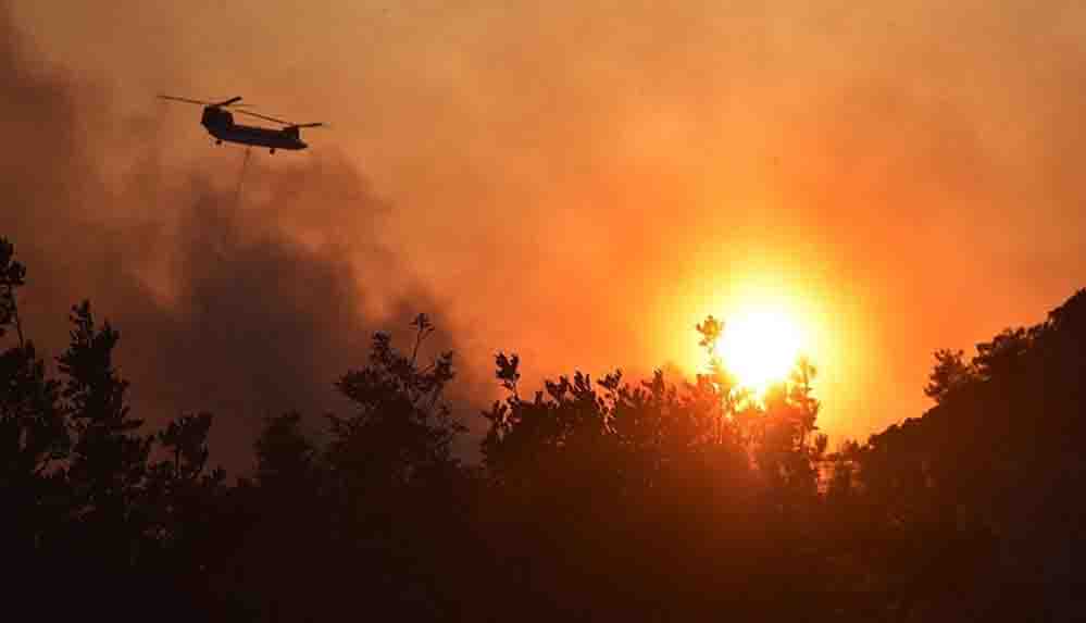 Orman yangınlarıyla ilgili 15'in üzerinde soruşturma dosyası açıldı