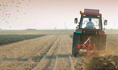 Tarımda üretici enflasyonu yıllık yüzde 24 arttı