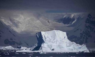 Türk akademisyenler Antarktika'da omurgasız hayvanlar üzerine çalışma yapacak