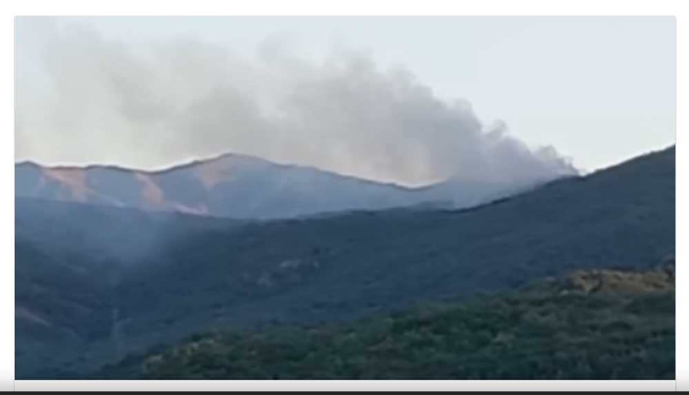 Tunceli'de orman yangını sürüyor, 34 STK yangın bölgesine gidiyor