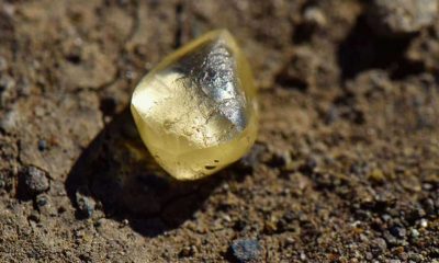Parkta dolaşırken 4,38 karatlık elmas buldular
