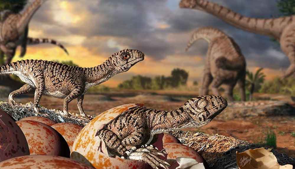 Arjantin'de 100'den fazla dinozor yumurtası bulundu