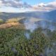 Balıkesir'in Edremit ilçesinde çıkan orman yangını kontrol altına alındı