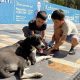 Kahramanmaraş'ta otomobilin çarptığı köpeğe çocuklardan yardım eli