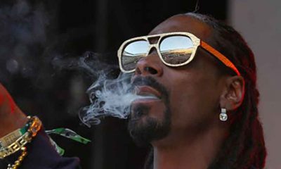 Snoop Dogg, kenevir üreten firmaya 15 milyon dolar yatırım yaptı