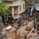 Hindistan'ın güneyindeki şiddetli yağışlar sonucu 8 kişi öldü, 12 kişi kayboldu