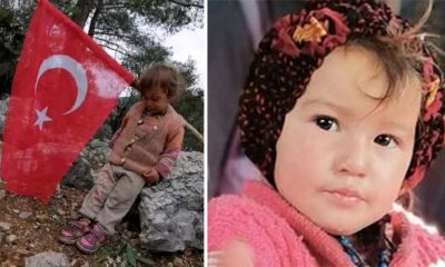 3 yaşındaki Müslüme'nin arandığı bölgede kan izine rastlandı