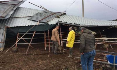 Çeşme'de hortum: 12 evin çatısında hasar