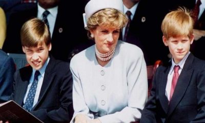 Prens William, annesi Prenses Diana'yı gözyaşları içinde anlattı