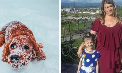 10 yaşındaki çocuk, kar fırtınasında sokak köpeğine sarılarak hayatta kaldı