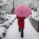 Birçok ilde hamile ve engelli kamu görevlilerine kar nedeniyle idari izin