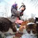 Kaza geçiren kediden etkilendi, evinin bahçesini yardıma muhtaç sokak hayvanlarına açtı