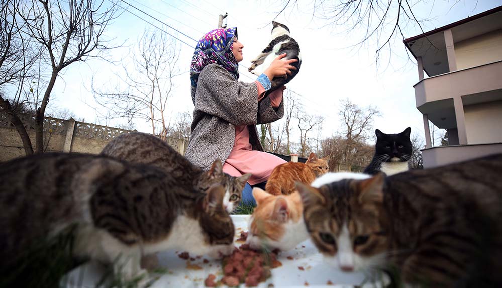Kaza geçiren kediden etkilendi, evinin bahçesini yardıma muhtaç sokak hayvanlarına açtı