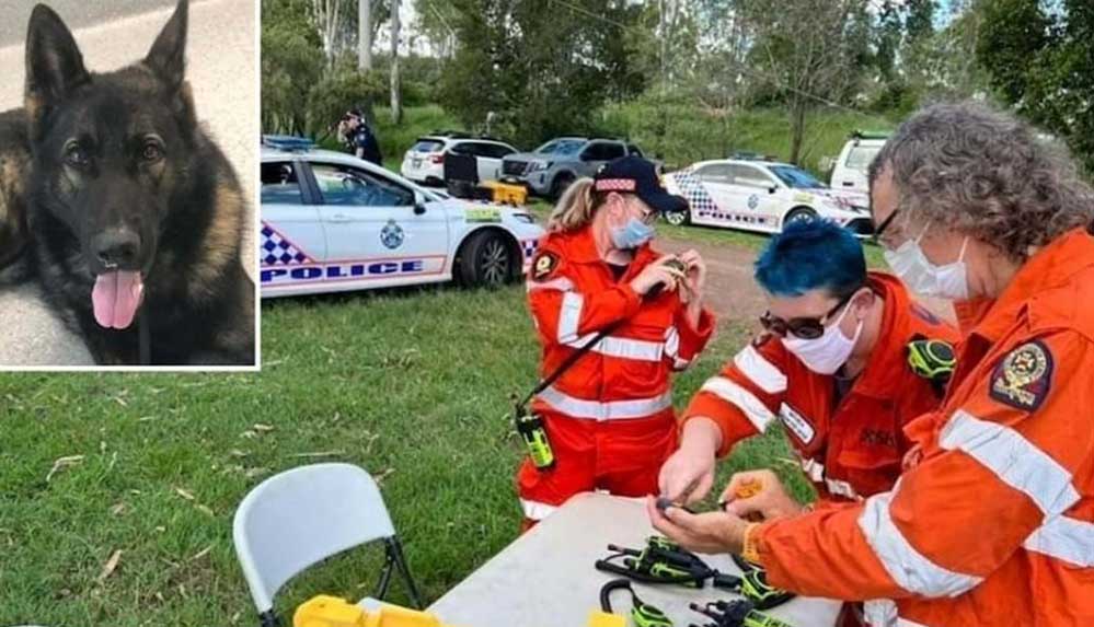 Avustralya'da kayıp polis köpeği helikopter ve drone ile arandı