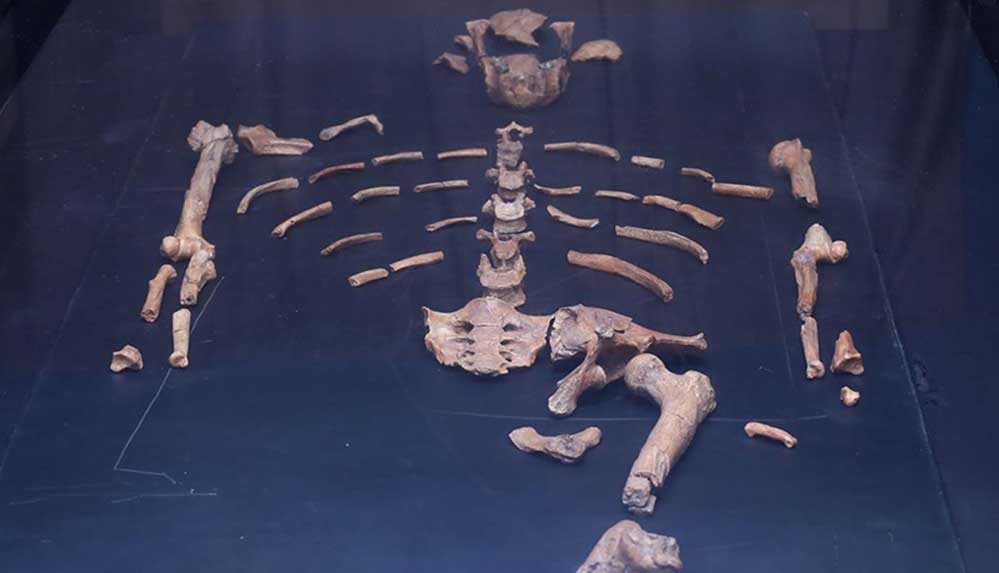 Modern insana ait en eski fosilin bilinenden 33 bin yıl daha eski olduğu belirlendi