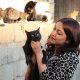 Siirtli genç kız sokak kedilerinin gönüllü bakıcısı oldu