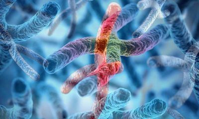 Telomer nedir? Sigara ve uykusuzluk telomerleri nasıl kısaltıyor?