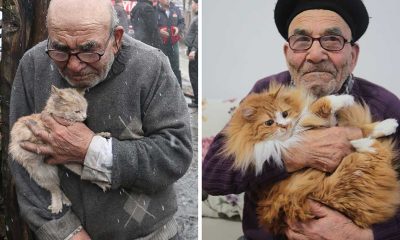 Yangından kedisi ile kurtulan Ali Dede köydeki can dostlarına hasret