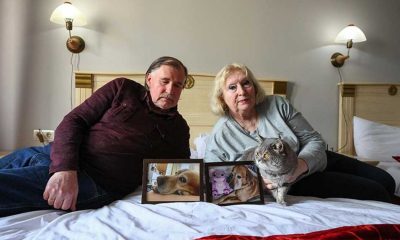 Köpeklerini Ukrayna'daki bomba saldırısında kaybeden çift kedilerini alarak Türkiye'ye geldi