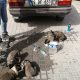 Sahibi ölünce hastane otoparkında kalan otomobilin bagajından 8 köpek çıktı